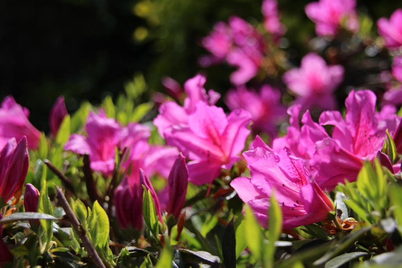 B&B Villa Branca Barreiros Al98139 ภายนอก รูปภาพ
